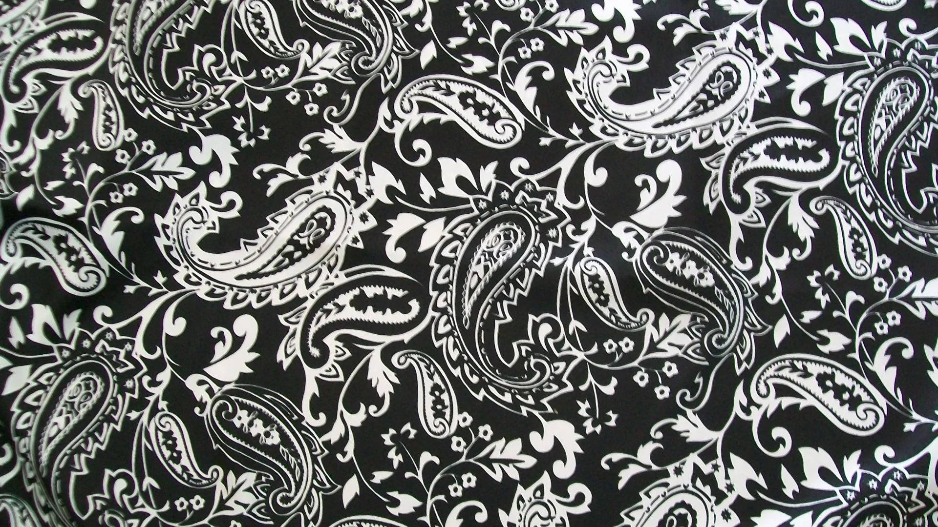 Monochromatic Paisley Print Background