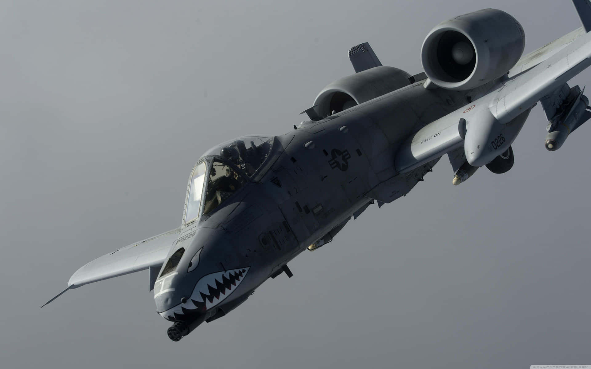 Monochrome A 10 Warthog Background