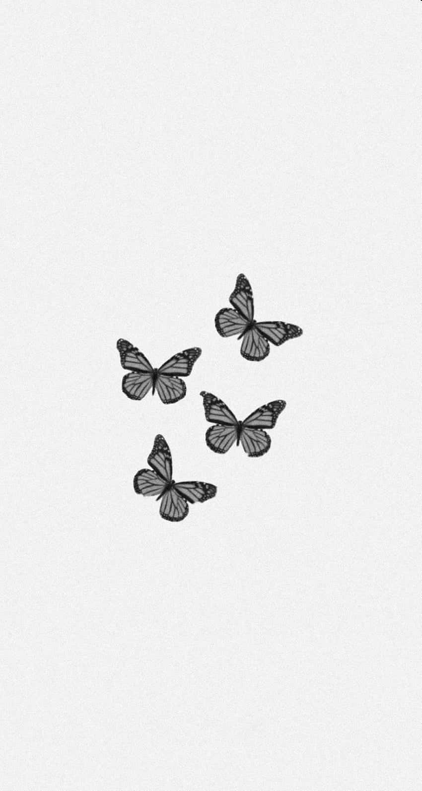 Monochrome Butterfly Cluster Background
