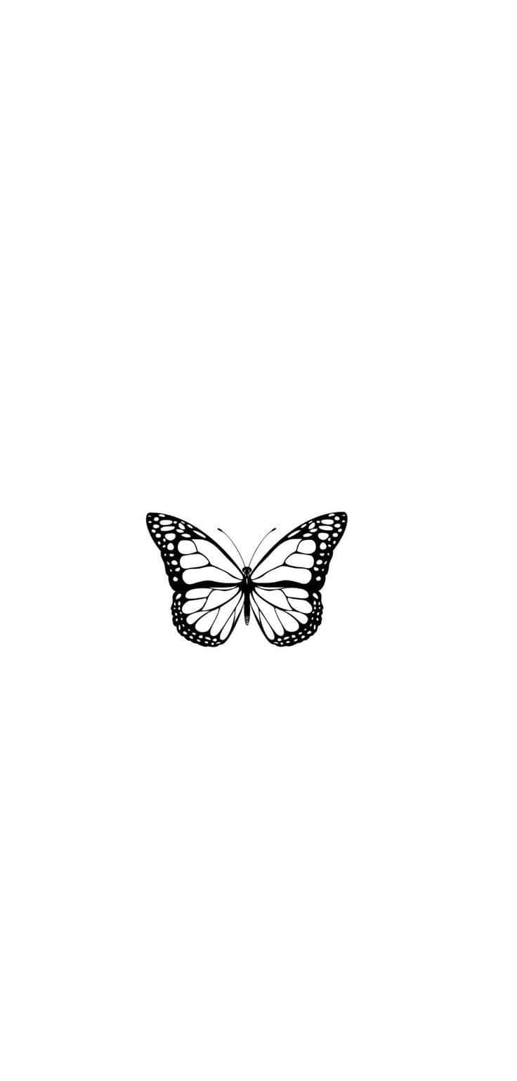 Monochrome Butterfly Illustration Background