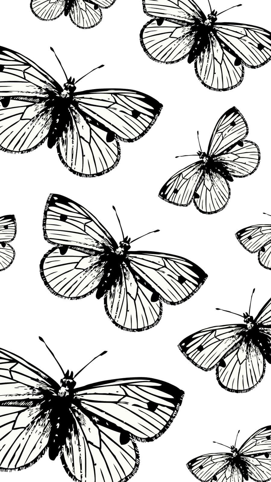 Monochrome Butterfly Pattern Background