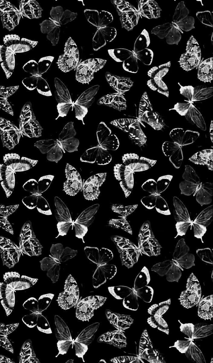 Monochrome Butterfly Pattern.jpg Background