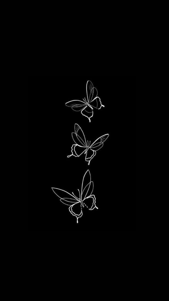 Monochrome Butterfly Trio Background