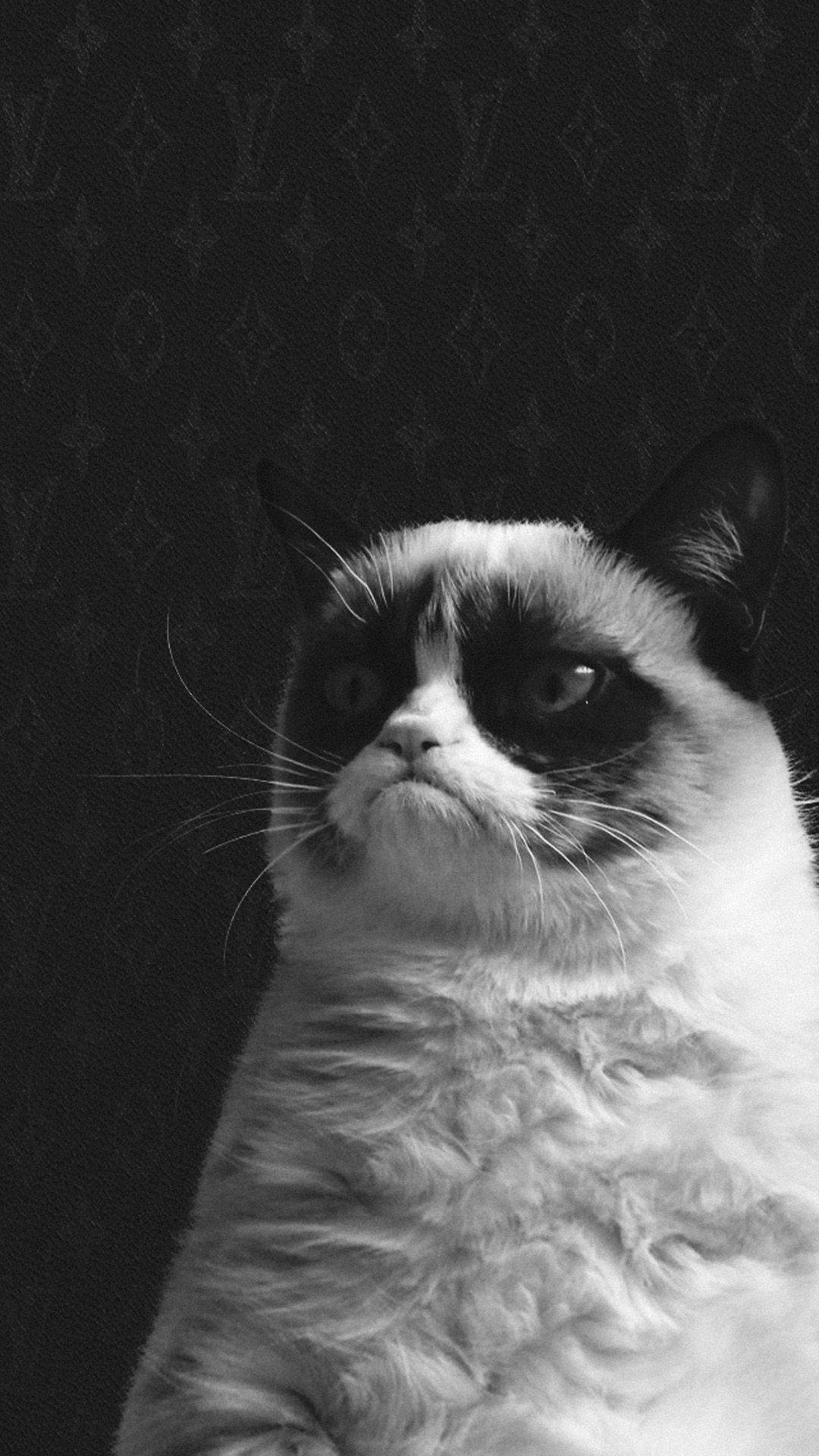 Monochrome Chubby Grumpy Cat Iphone