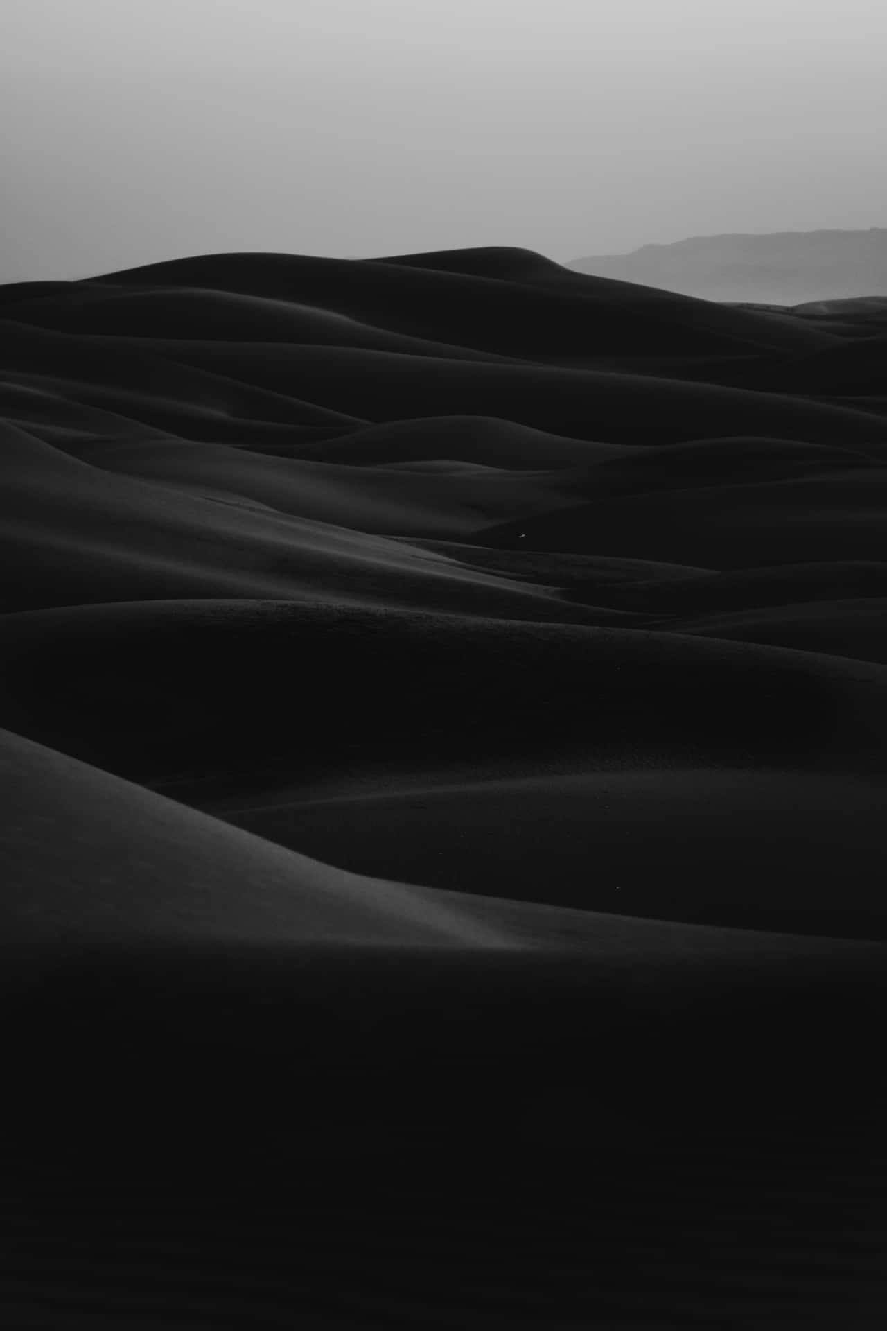 Monochrome_ Desert_ Dunes Background