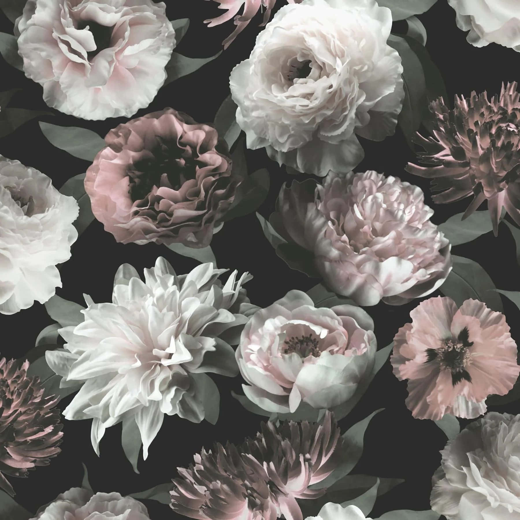 Monochrome Floral Pattern Design Background