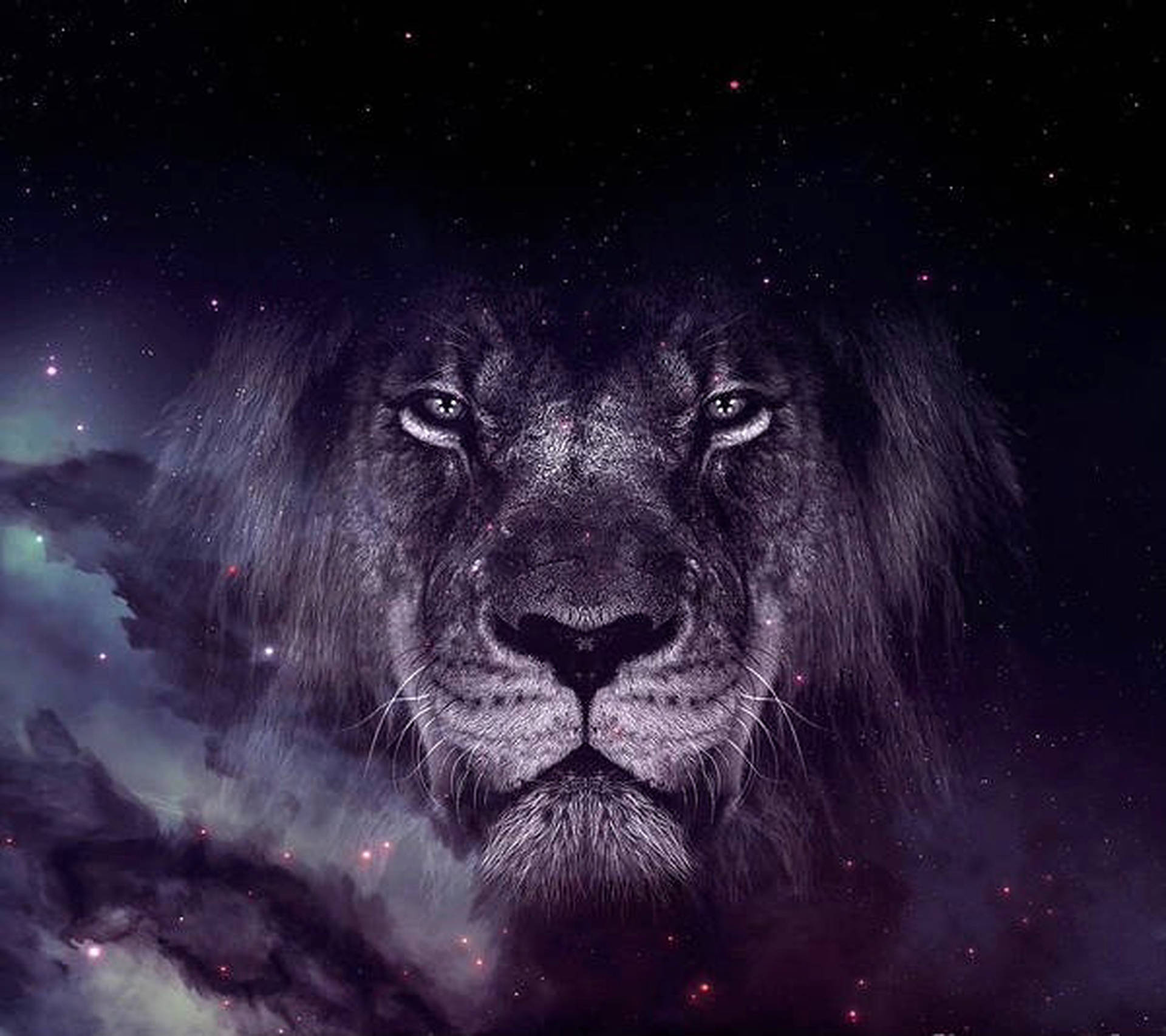 Monochrome Galaxy Lion