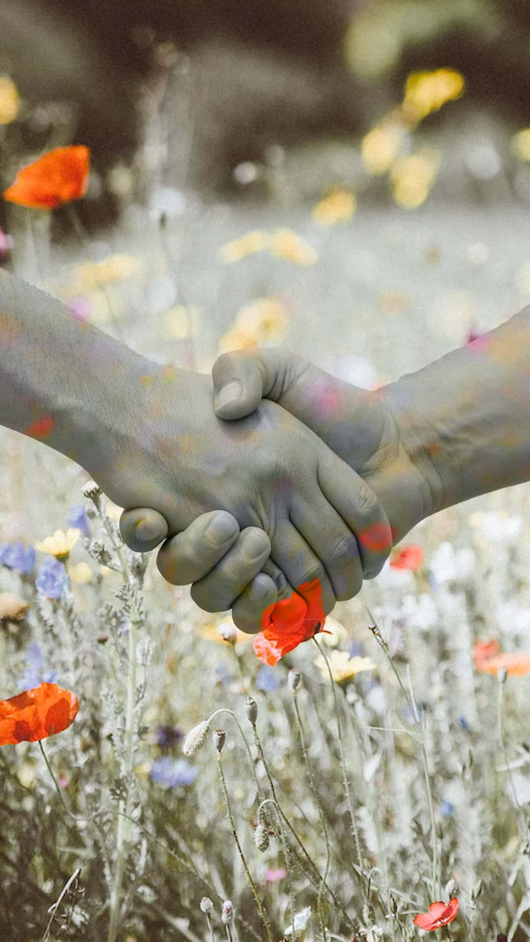 Monochrome Handshake In Flower Field Background