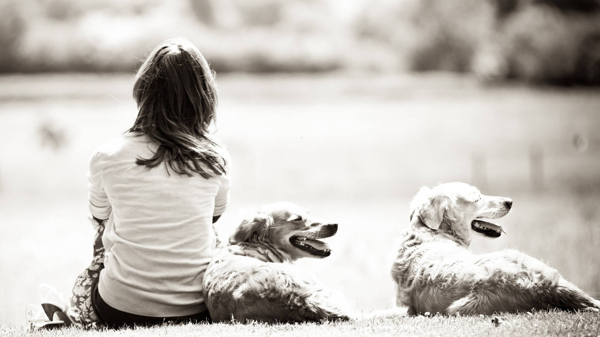 Monochrome Image Of A Dog And Girl Background