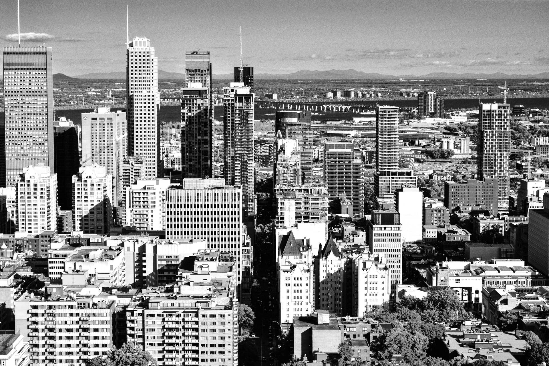 Monochrome Montreal City Background