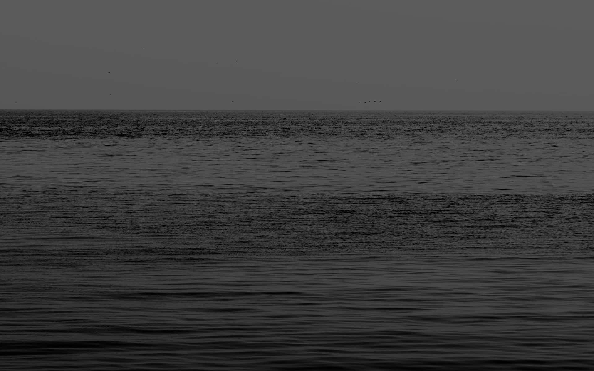 Monochrome_ Ocean_ Horizon