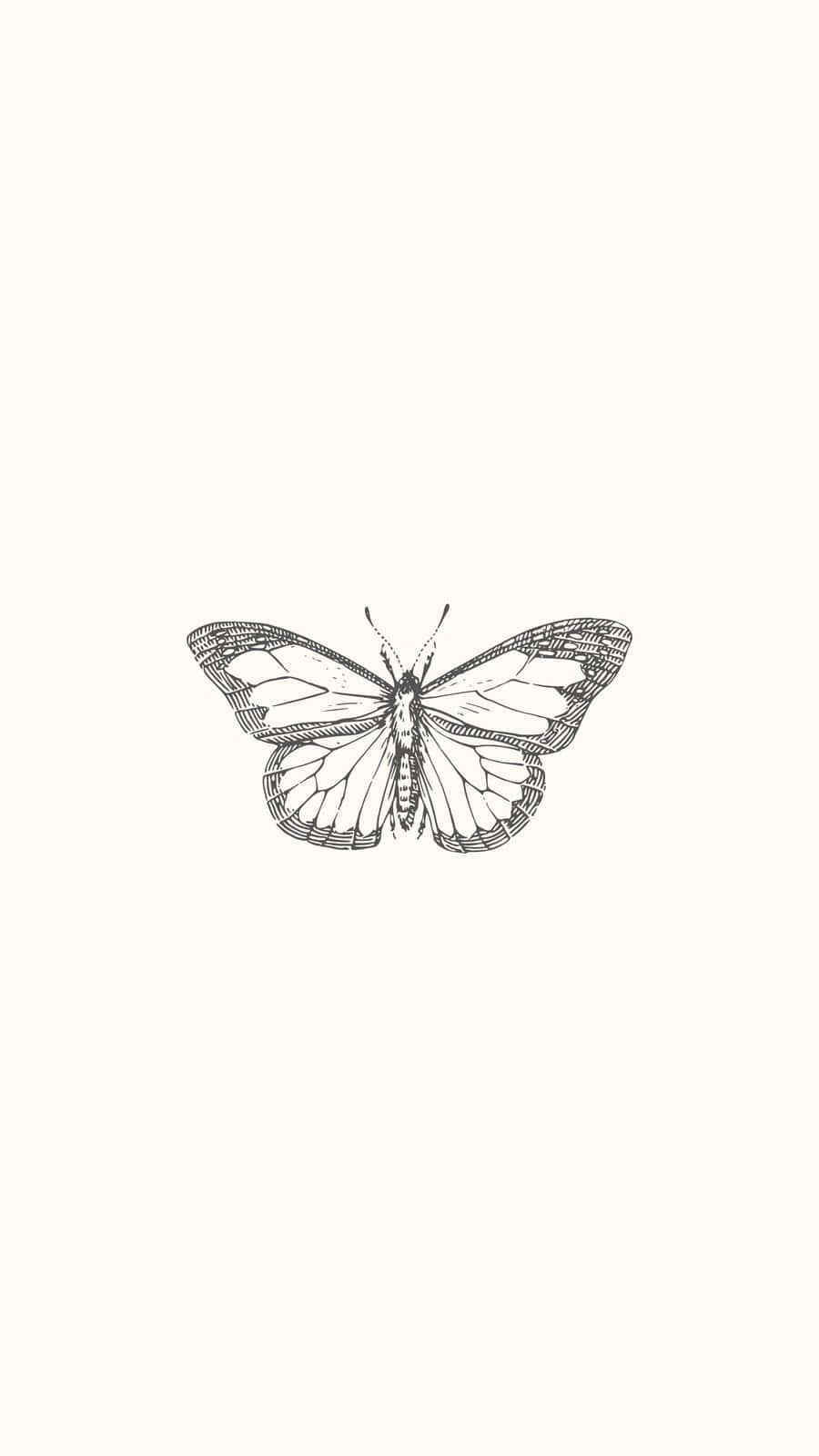 Monochrome Sketched Butterfly Background