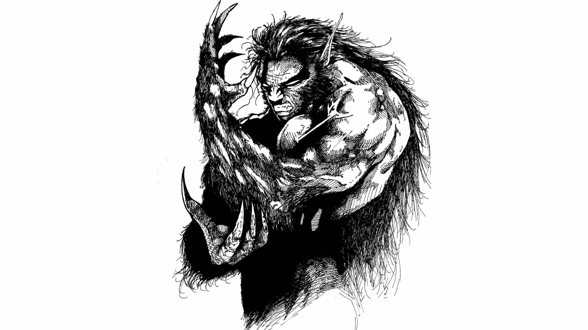 Monochrome Werewolf Ink Sketch Background