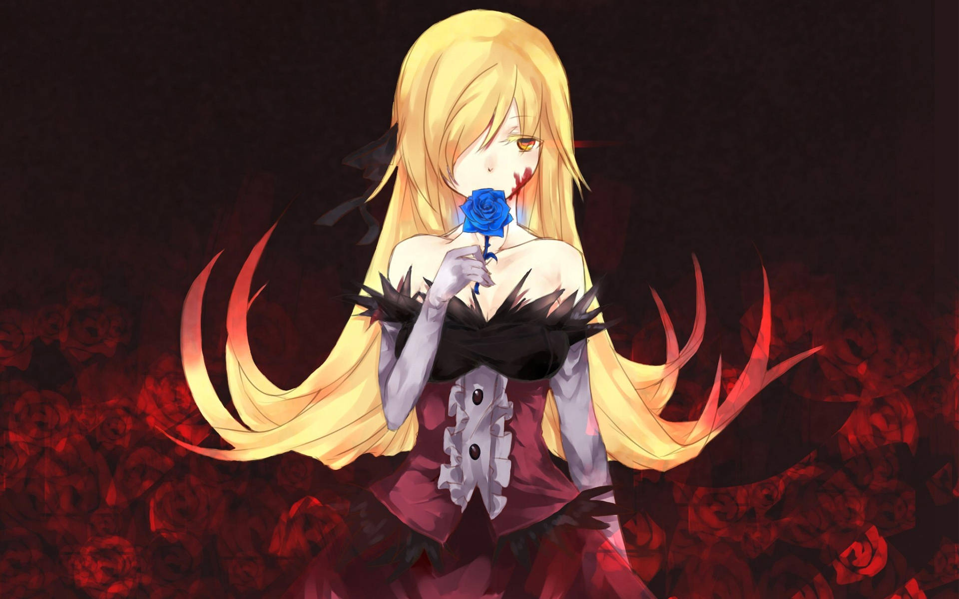 Monogatari Kiss Shot Blue Rose Background