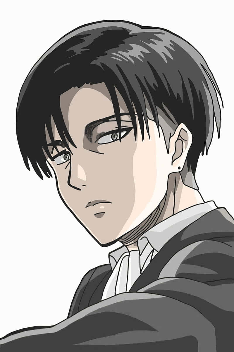 Monotone Levi Pfp Background