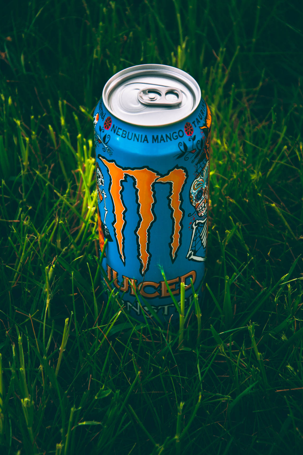 Monster Energy Drink On Grass Background