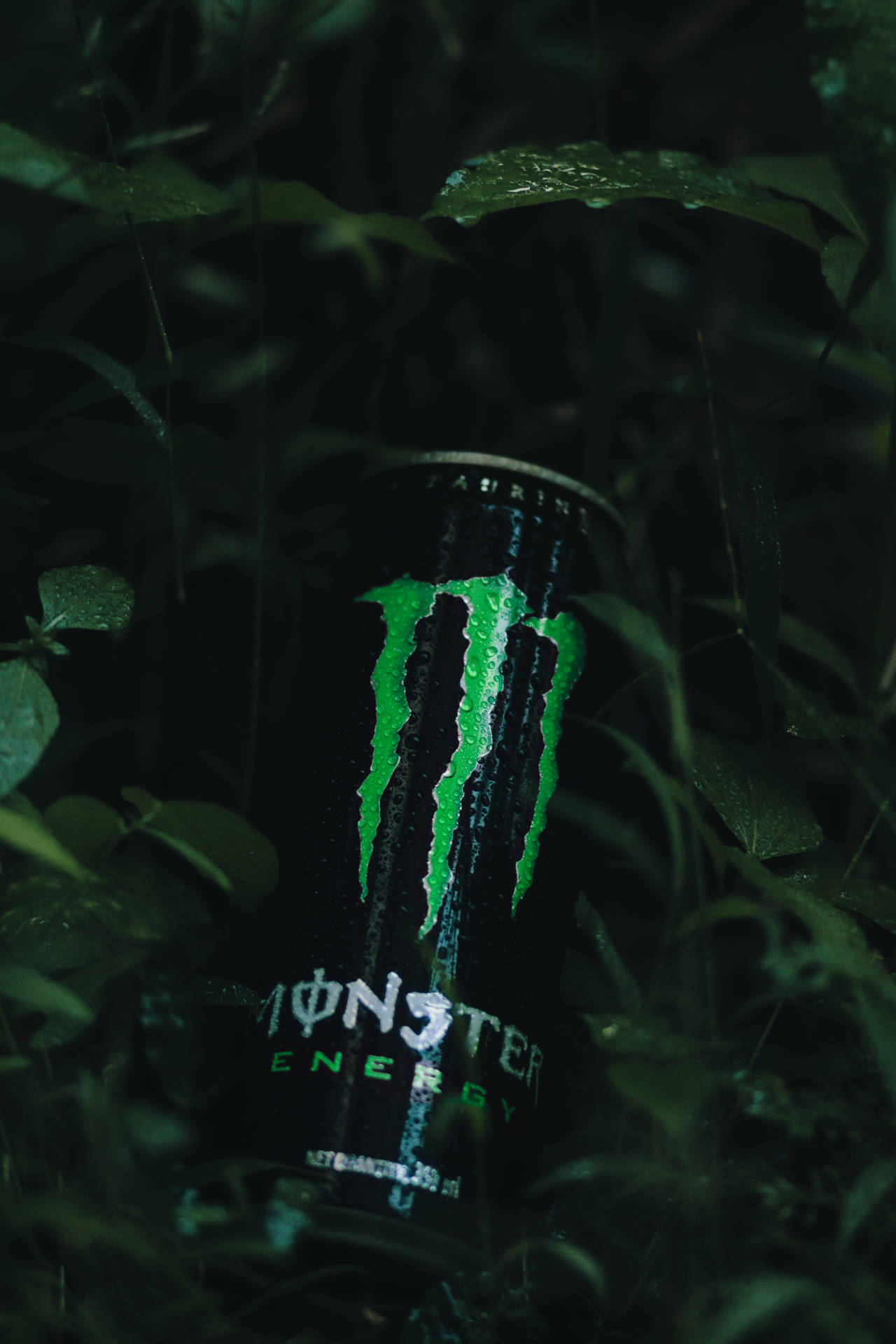 Monster Energy Drink With Leaves Background
