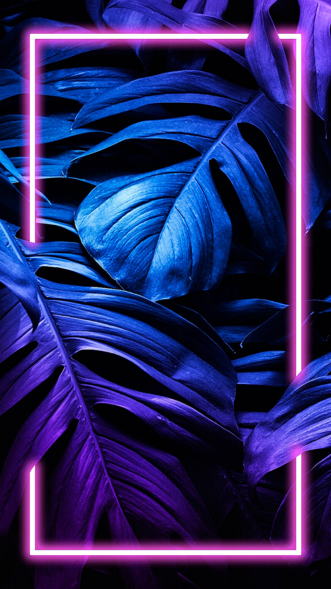Monstera Leaf 4k Neon Iphone Background