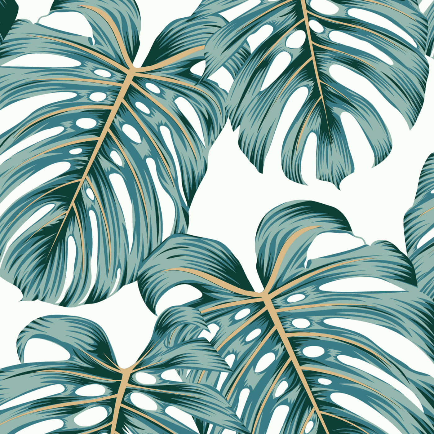 Monstera Leaf Plant Aesthetic Illustration Background