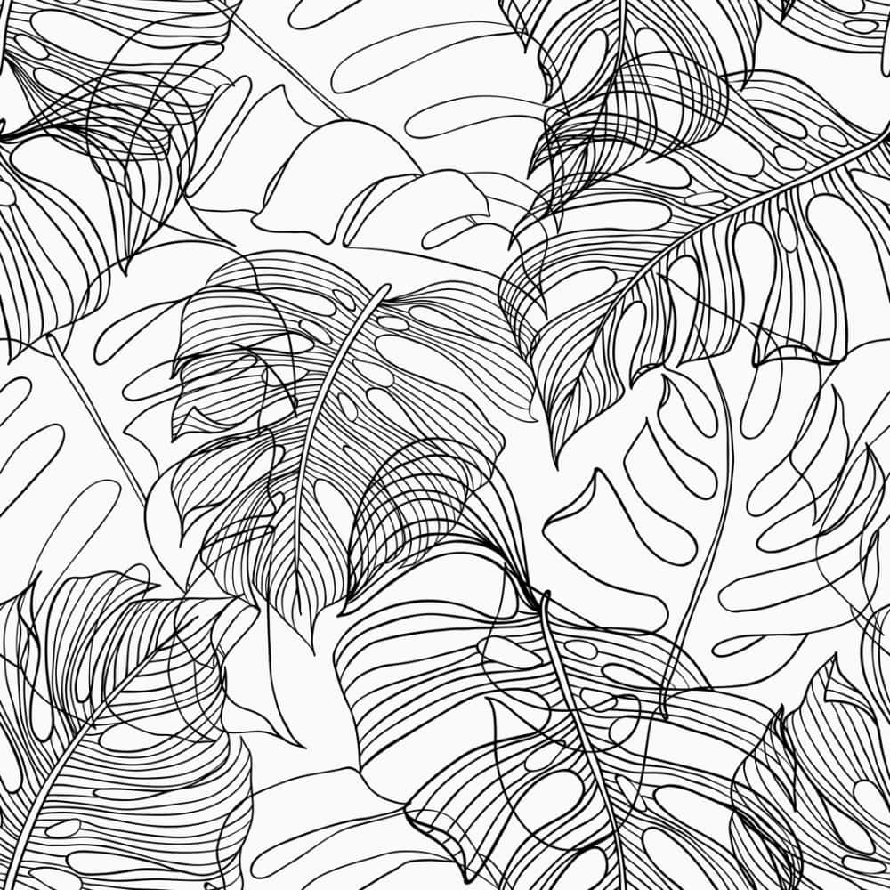 Monstera Leaves Line Art Illustration Background