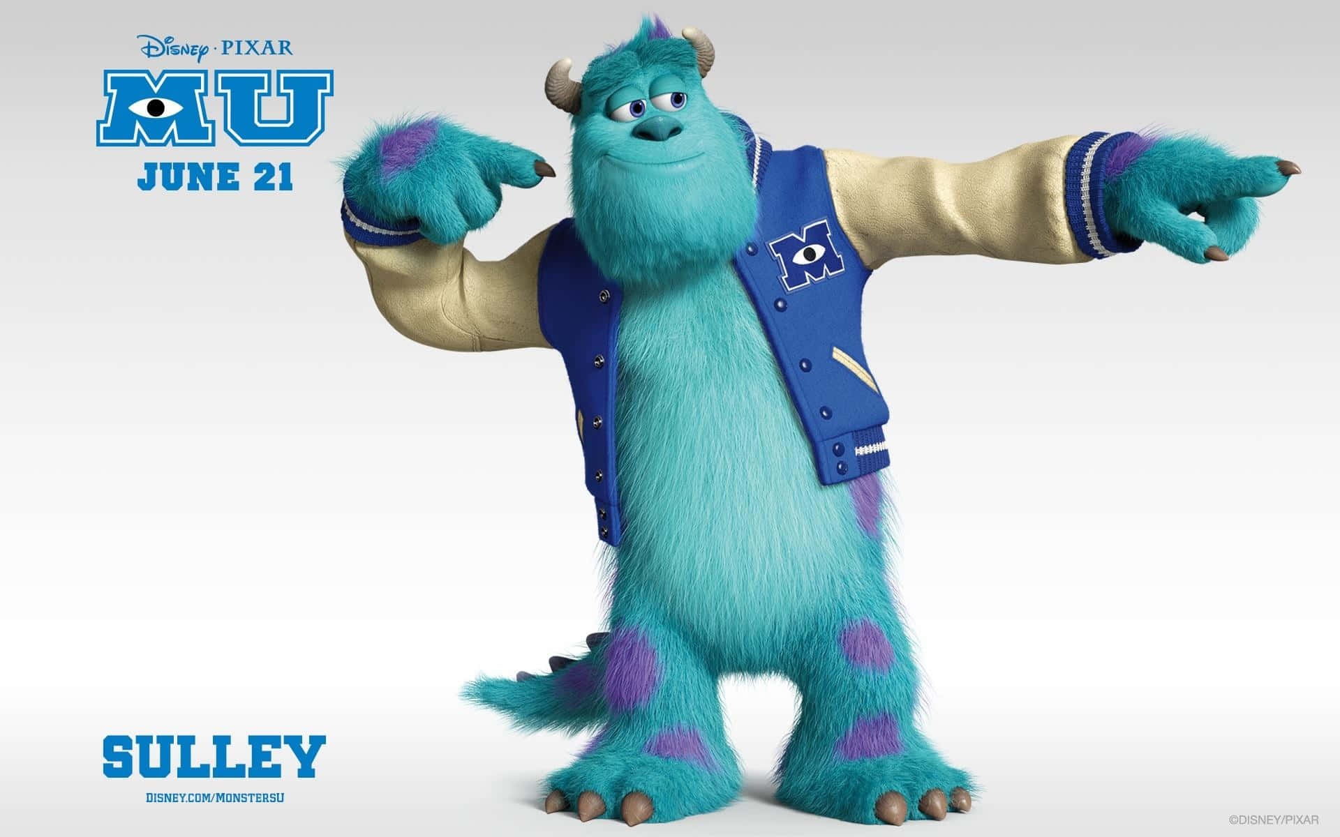 Monsters Sulley Promotional Background