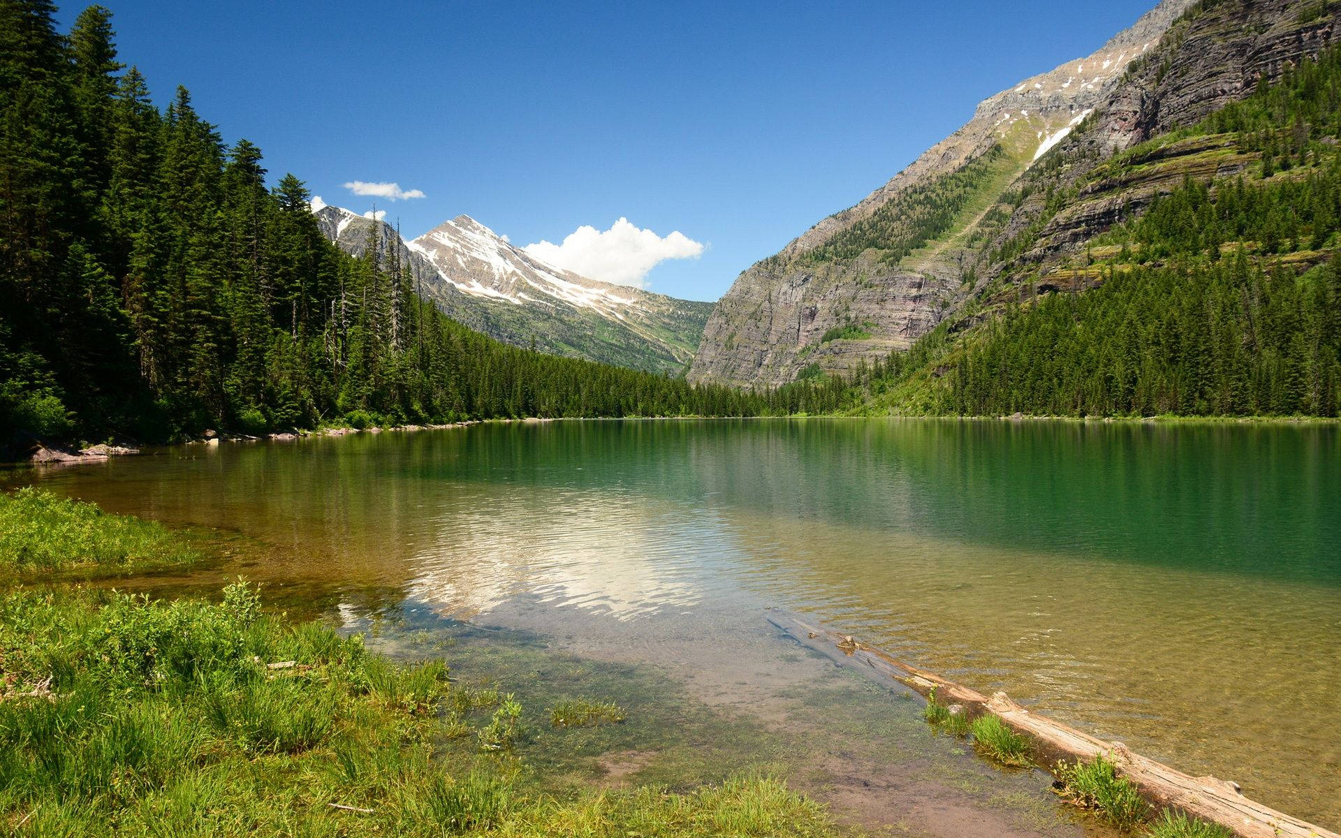 Montana Green Lake Background