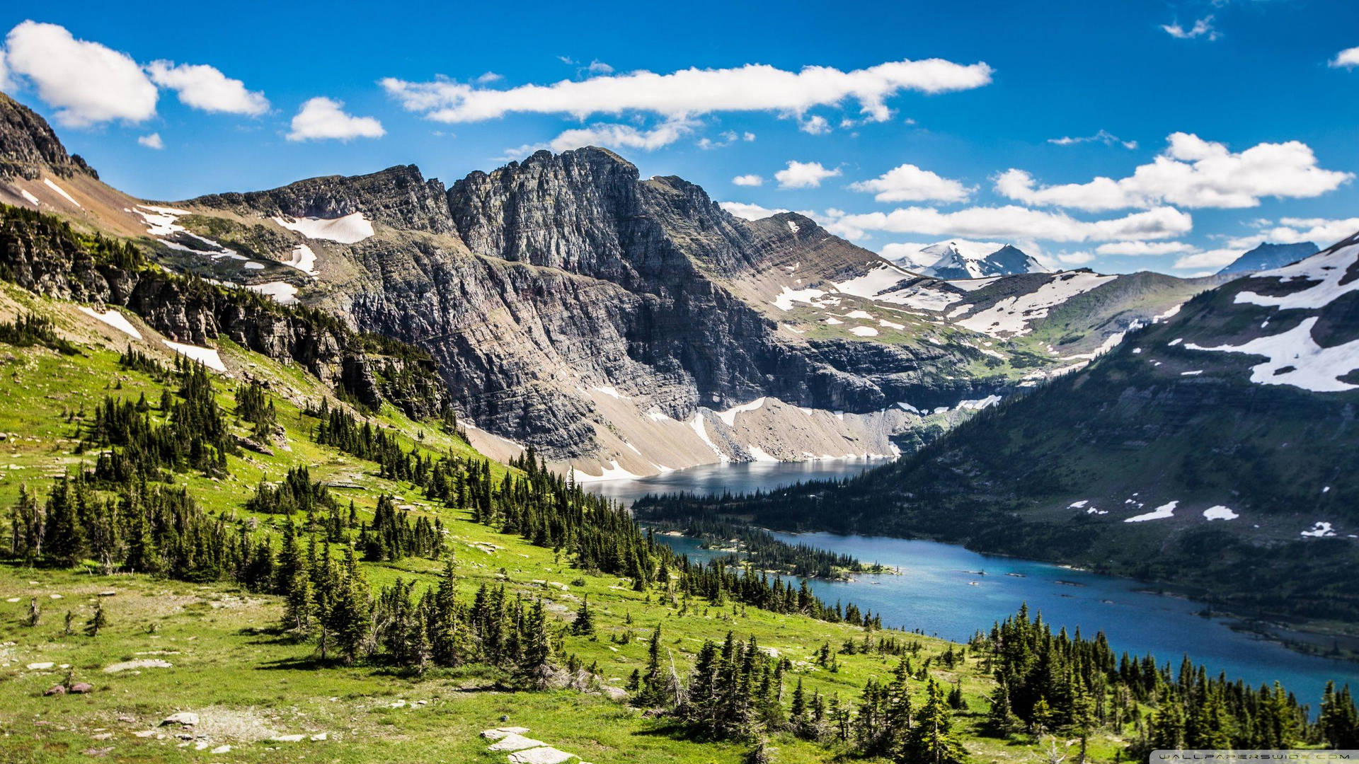 Montana Wood Patches