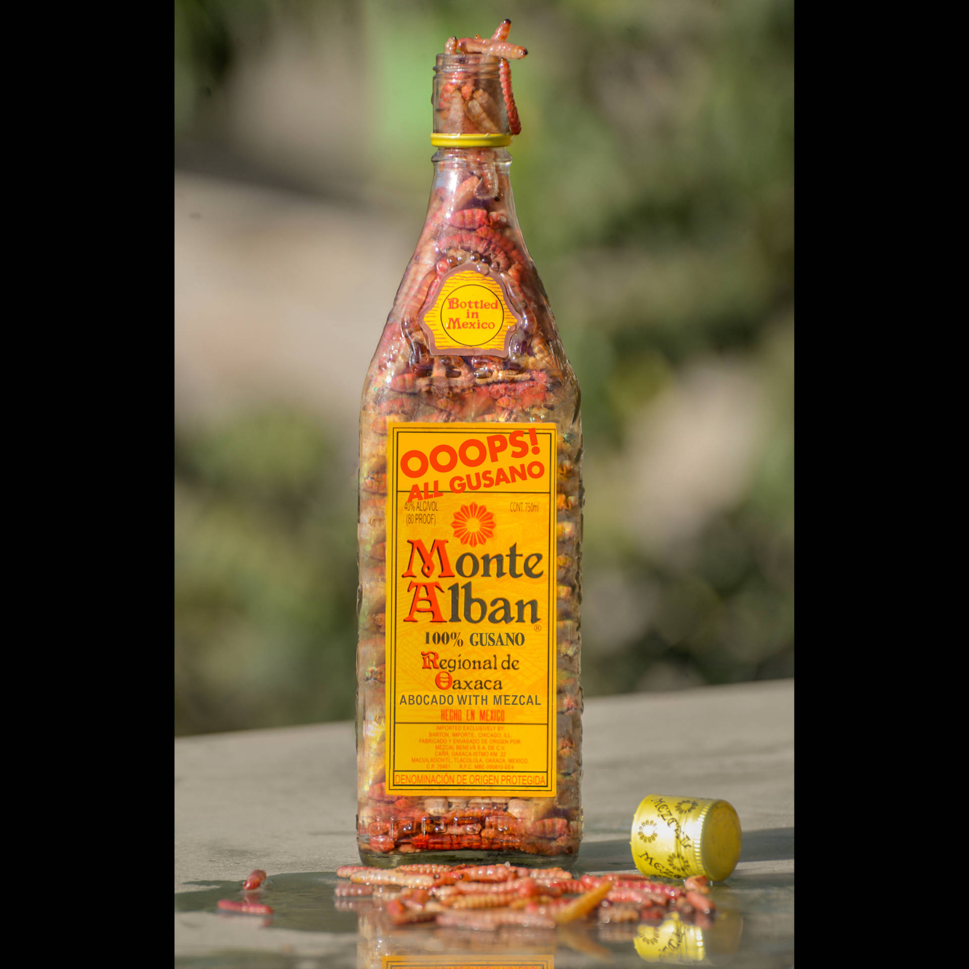 Monte Alban Mezcal Filled With Gusano Worms Background