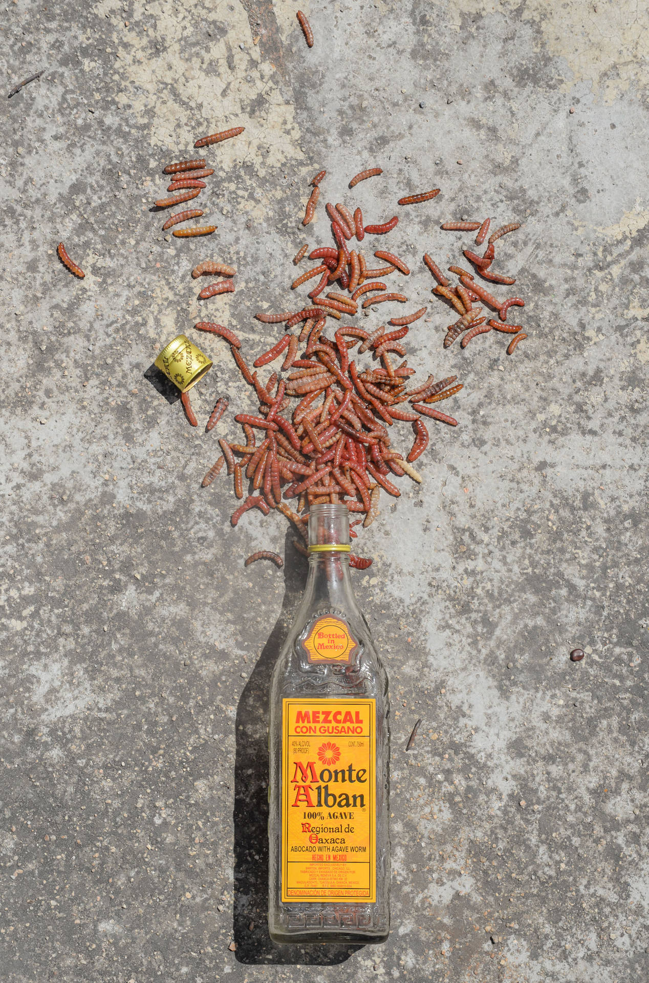 Monte Alban Mezcal Tequila With Spilled Agave Worms Background