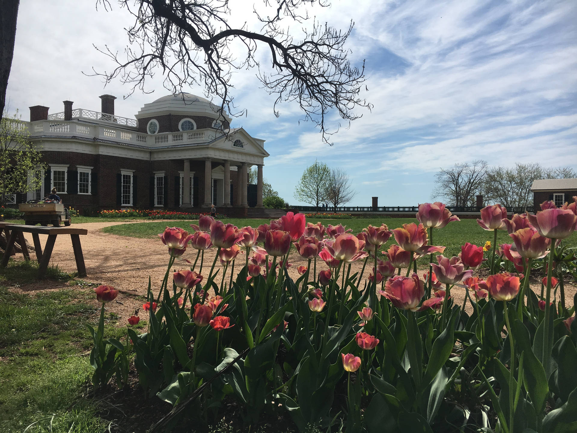 Monticello And Pink Flowers Background