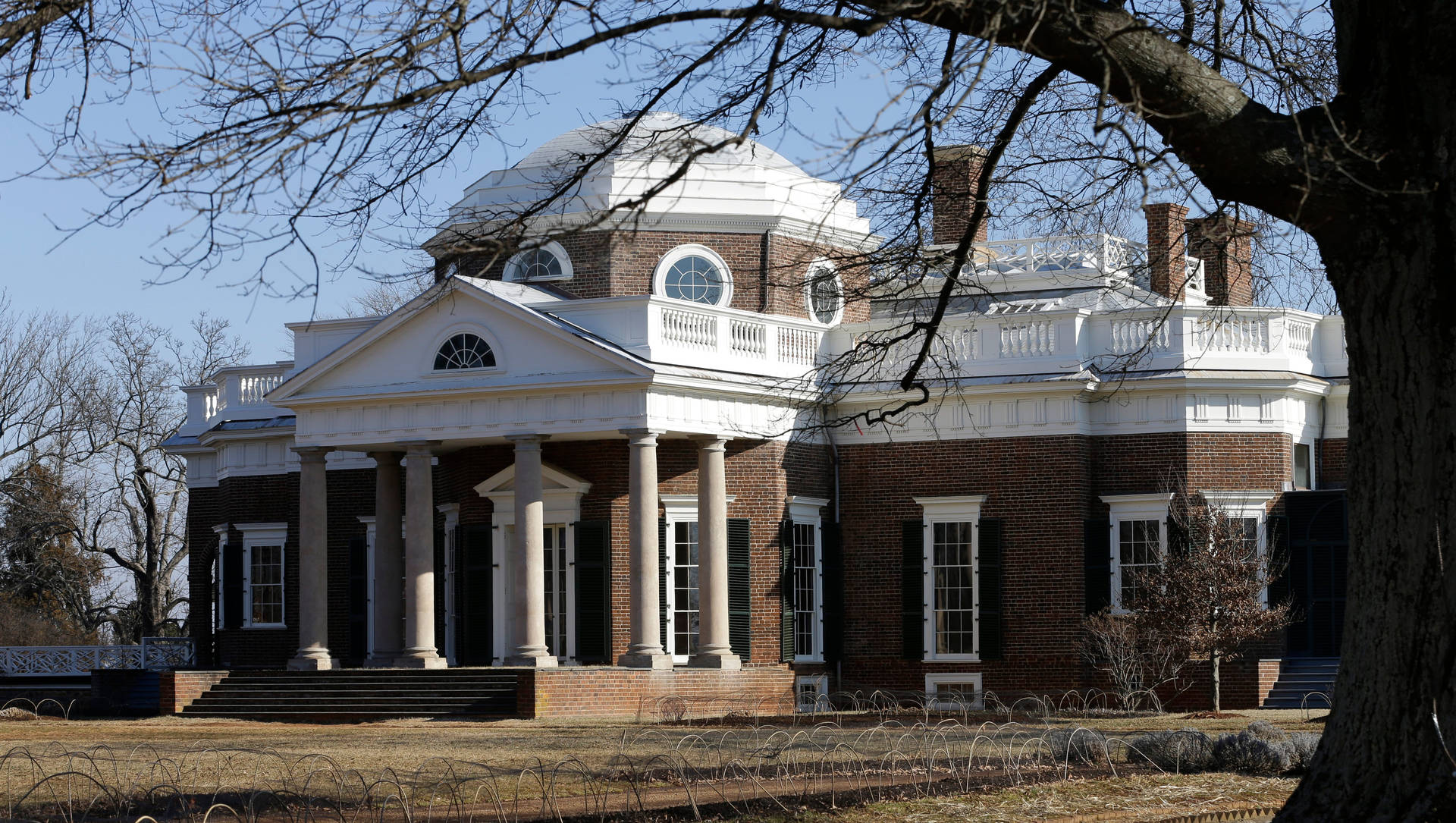 Monticello Behind Tree Background