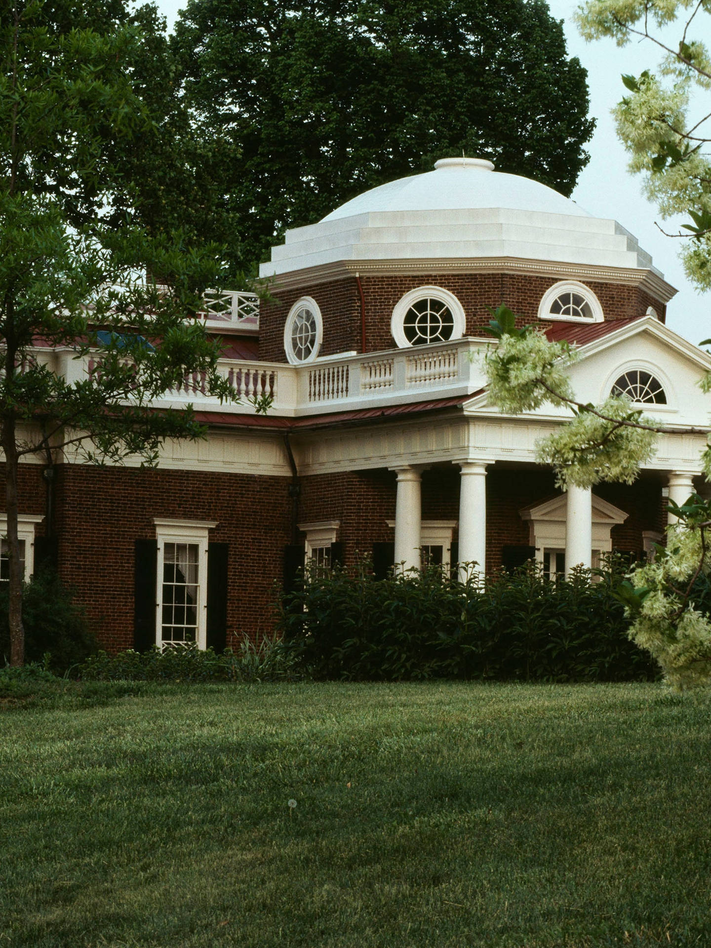 Monticello Hidden By Bush Background