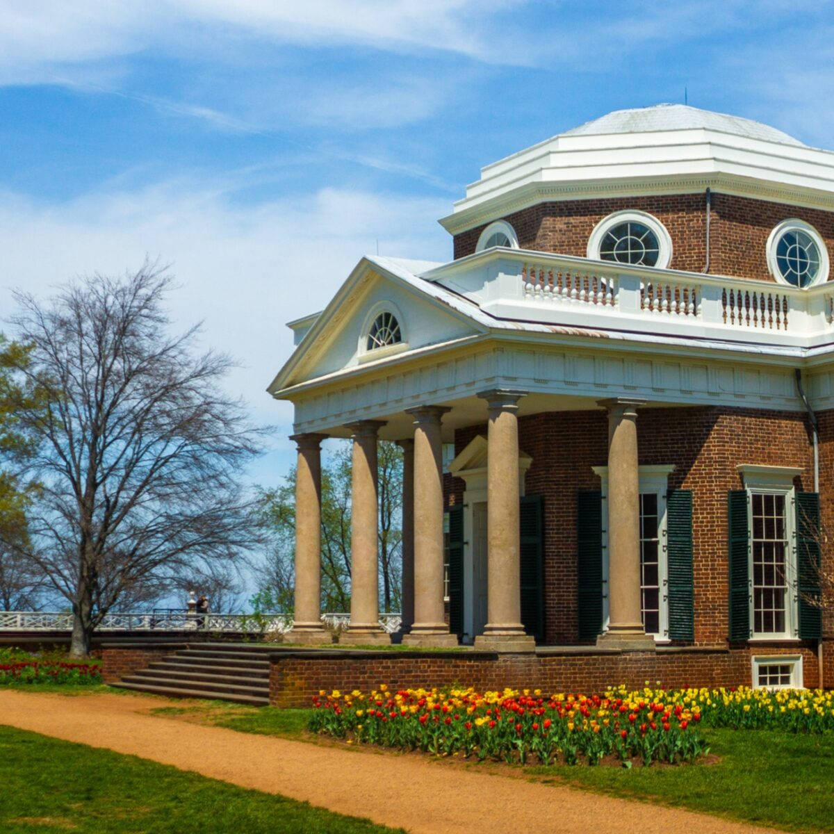 Monticello Jefferson Museum Background