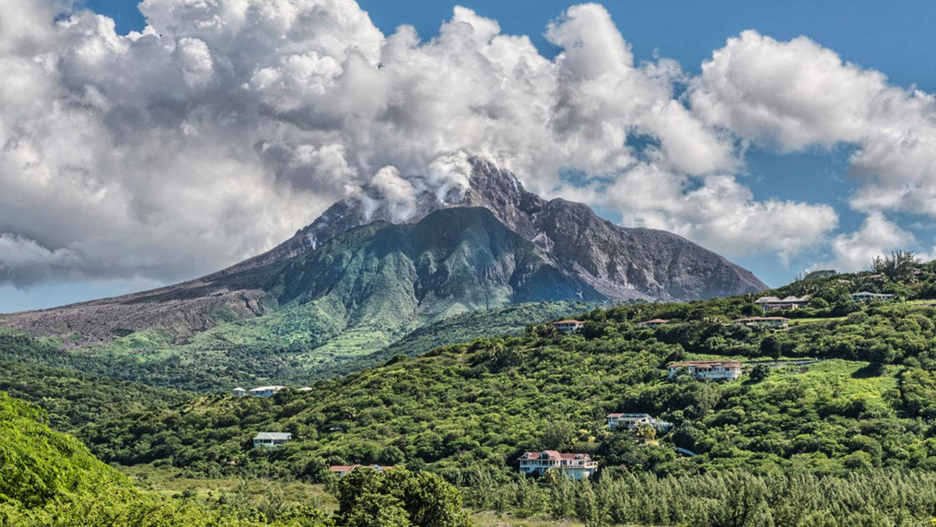 Montserrat Forest Mountain