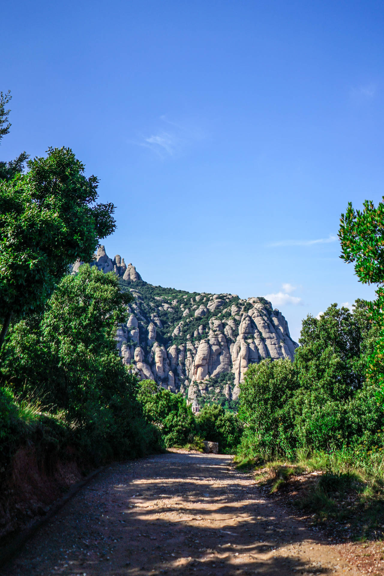 Montserrat Forest Trail