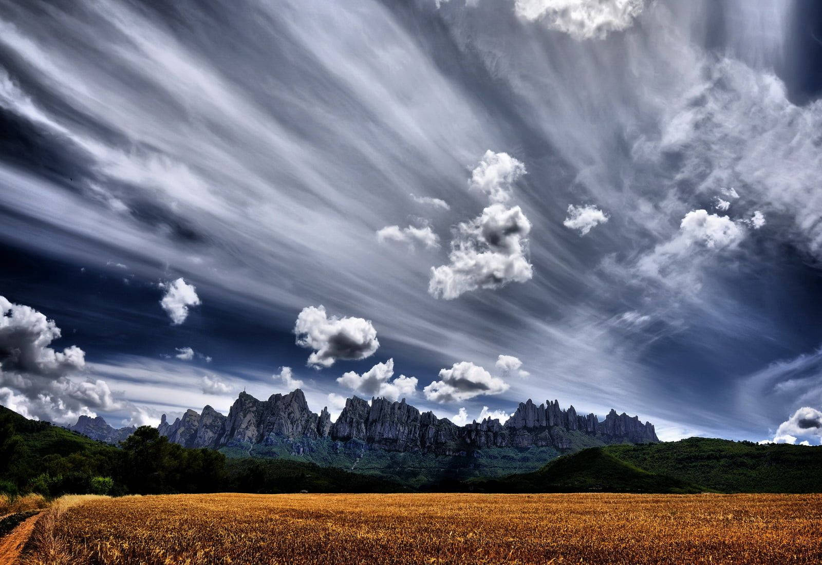 Montserrat Horizon Background