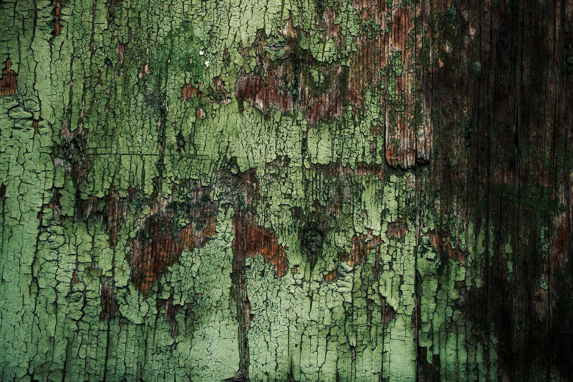 Moody Dark Green Grunge Texture Background