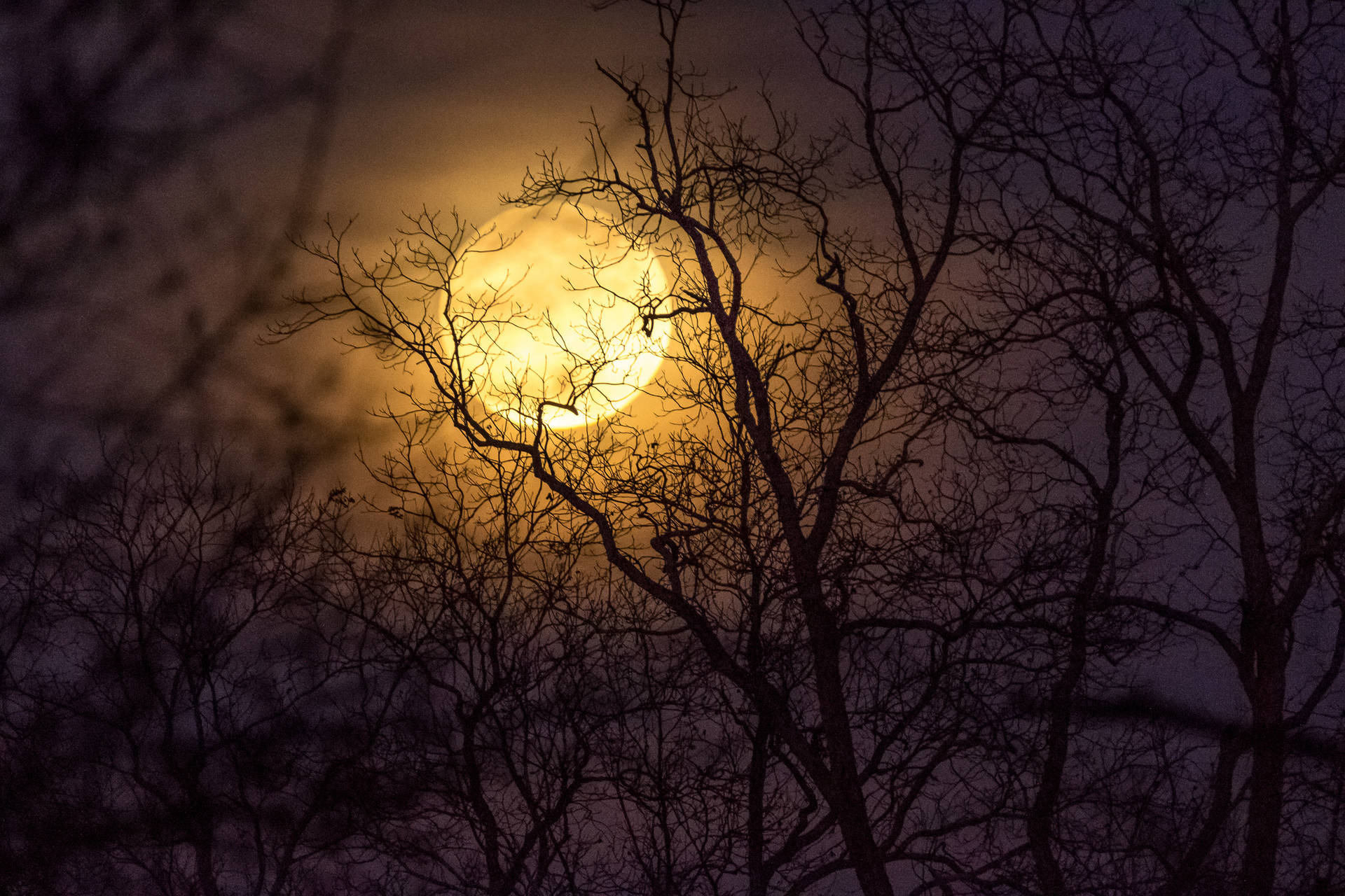 Moon Backgrounds | ManyBackgrounds.com