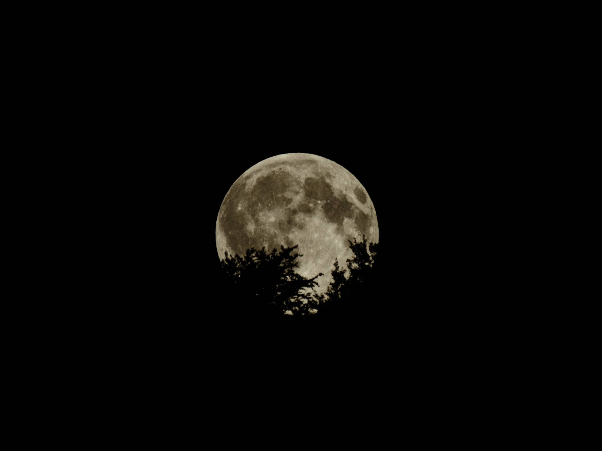 Moon 4608 X 3456 Background