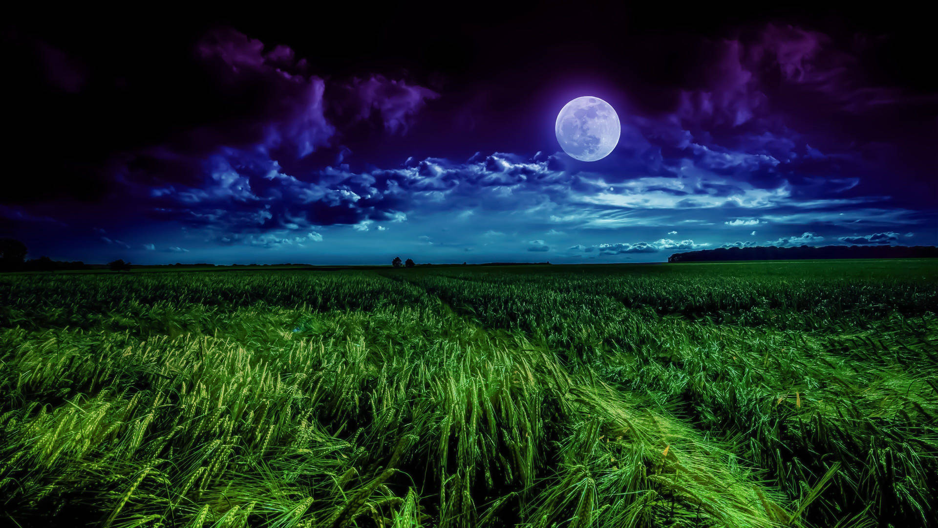 Moon 4k Blue Aesthetic Grass Field