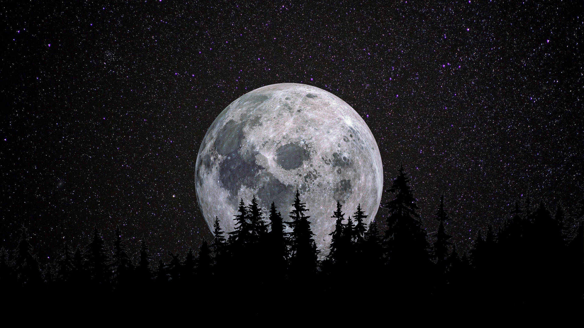 Moon 4k Full Moon Over Forest