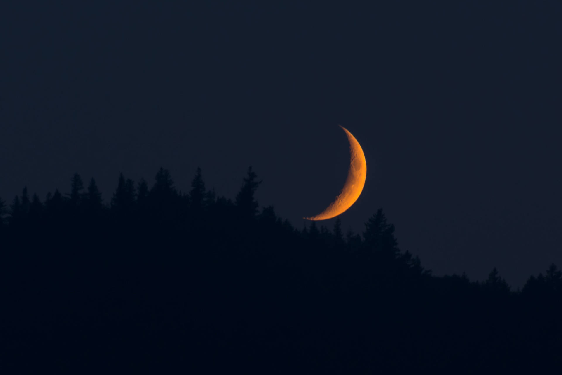 Moon 4k Orange Aesthetic Over Forest Background