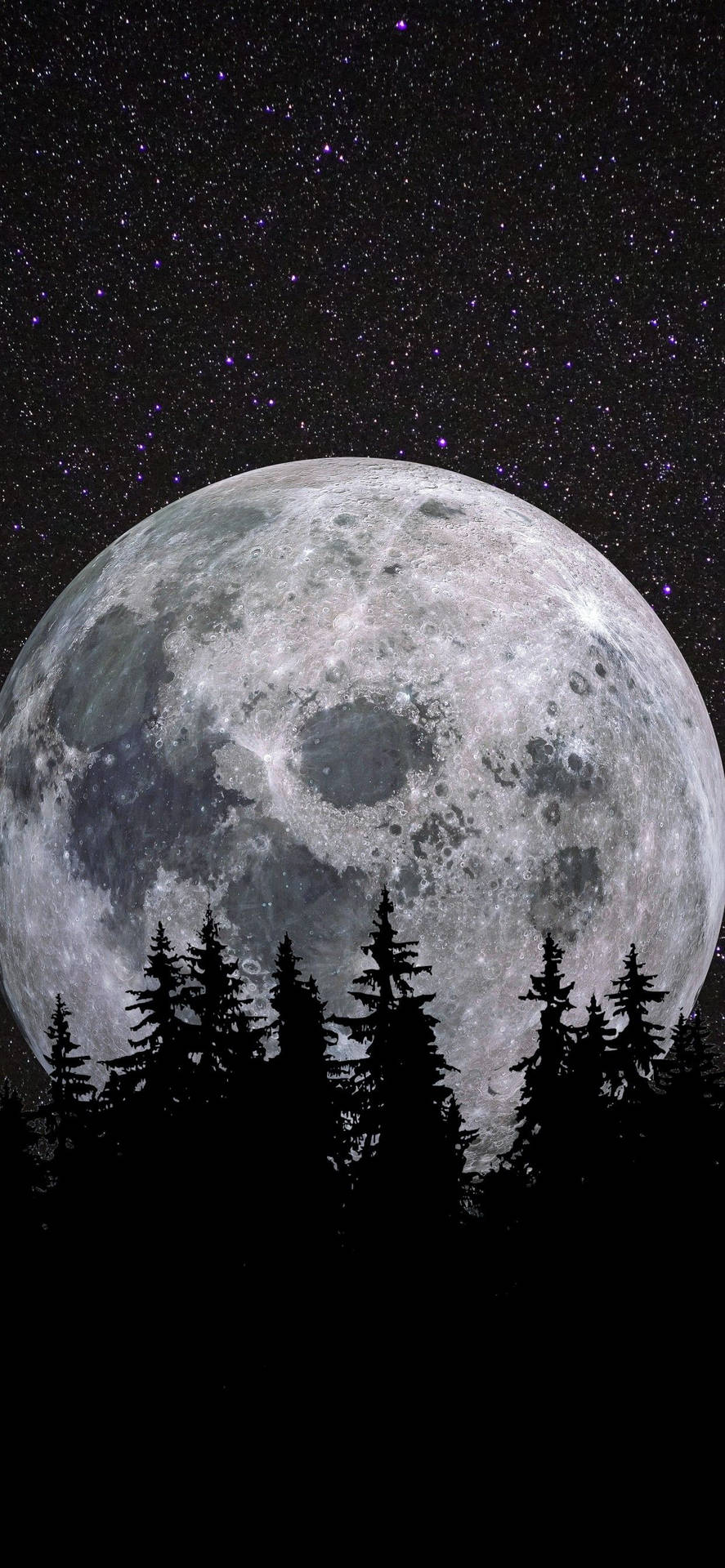 Moon Aesthetic Forest Background