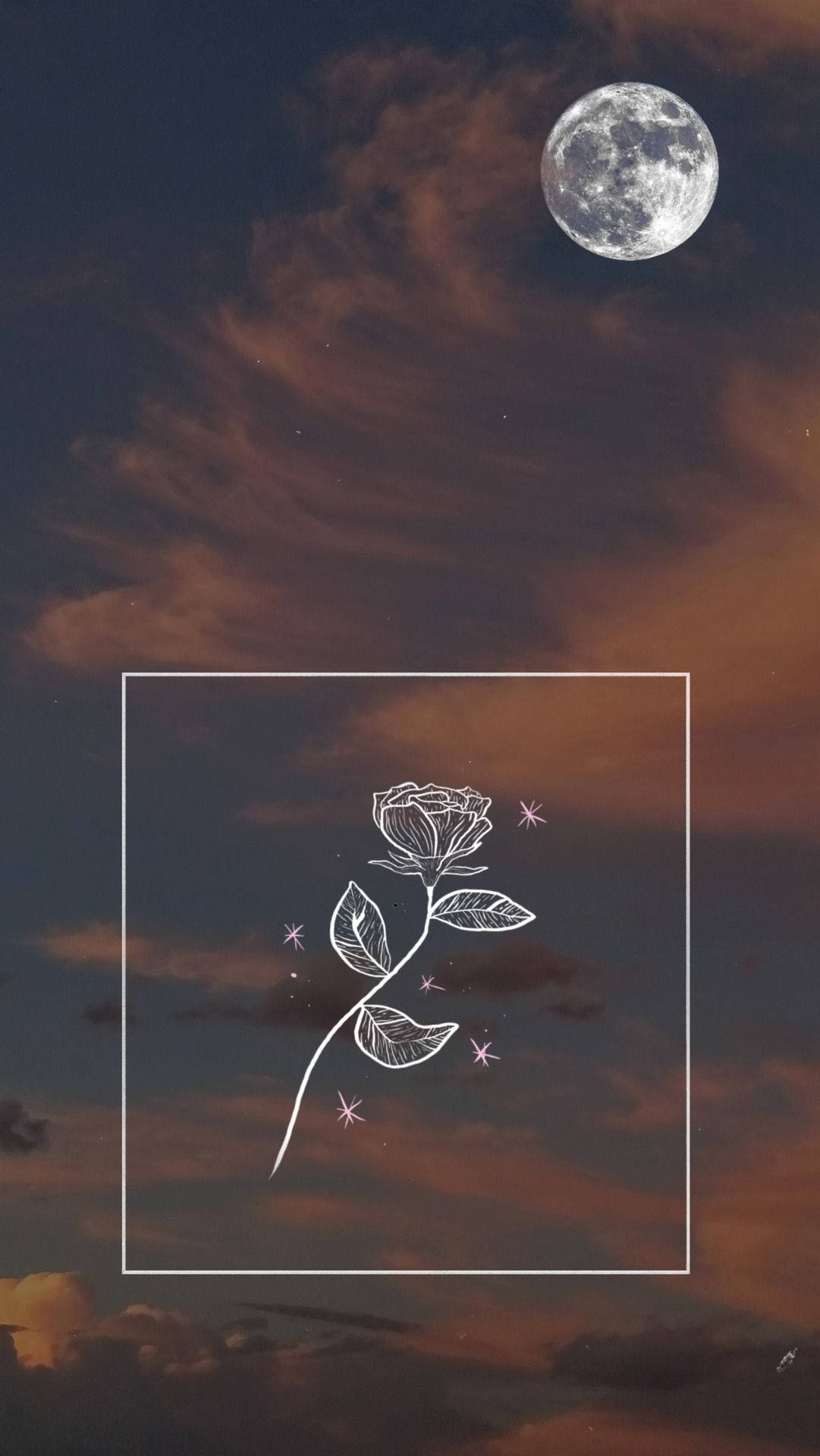 Moon Aesthetic Rose Sketch Background