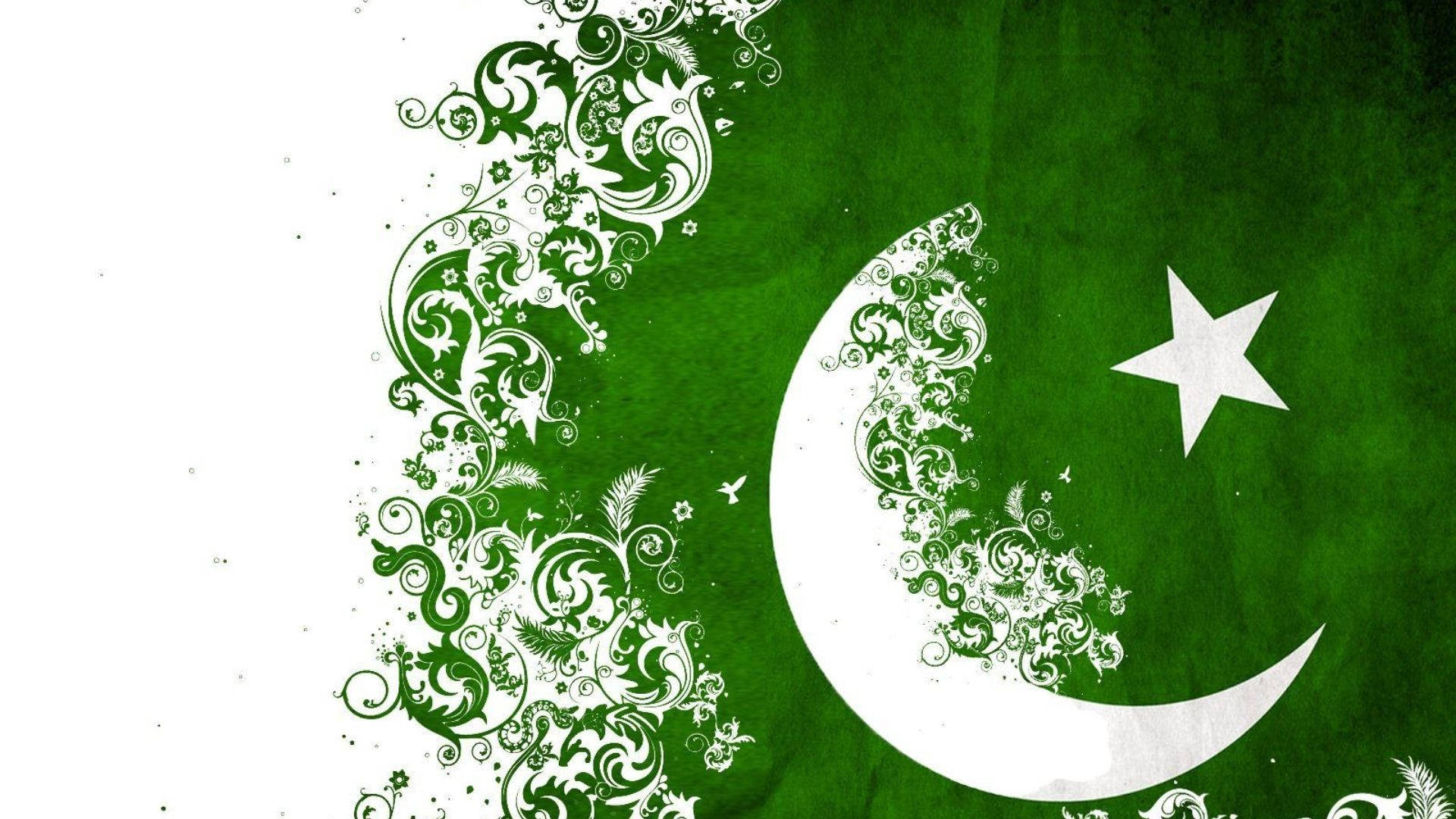 Moon And Star Pakistan Logo Background