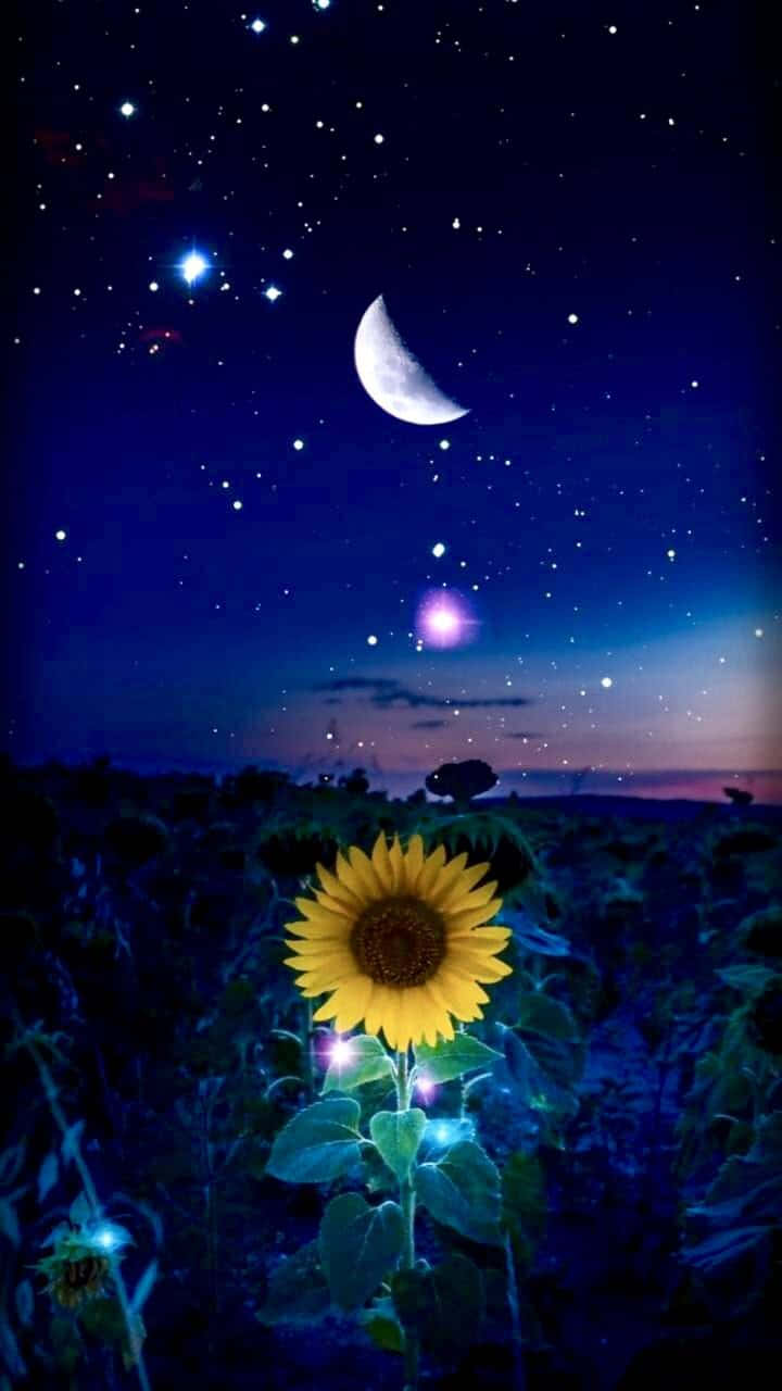 Moon And Stars Phone Sunflower Background