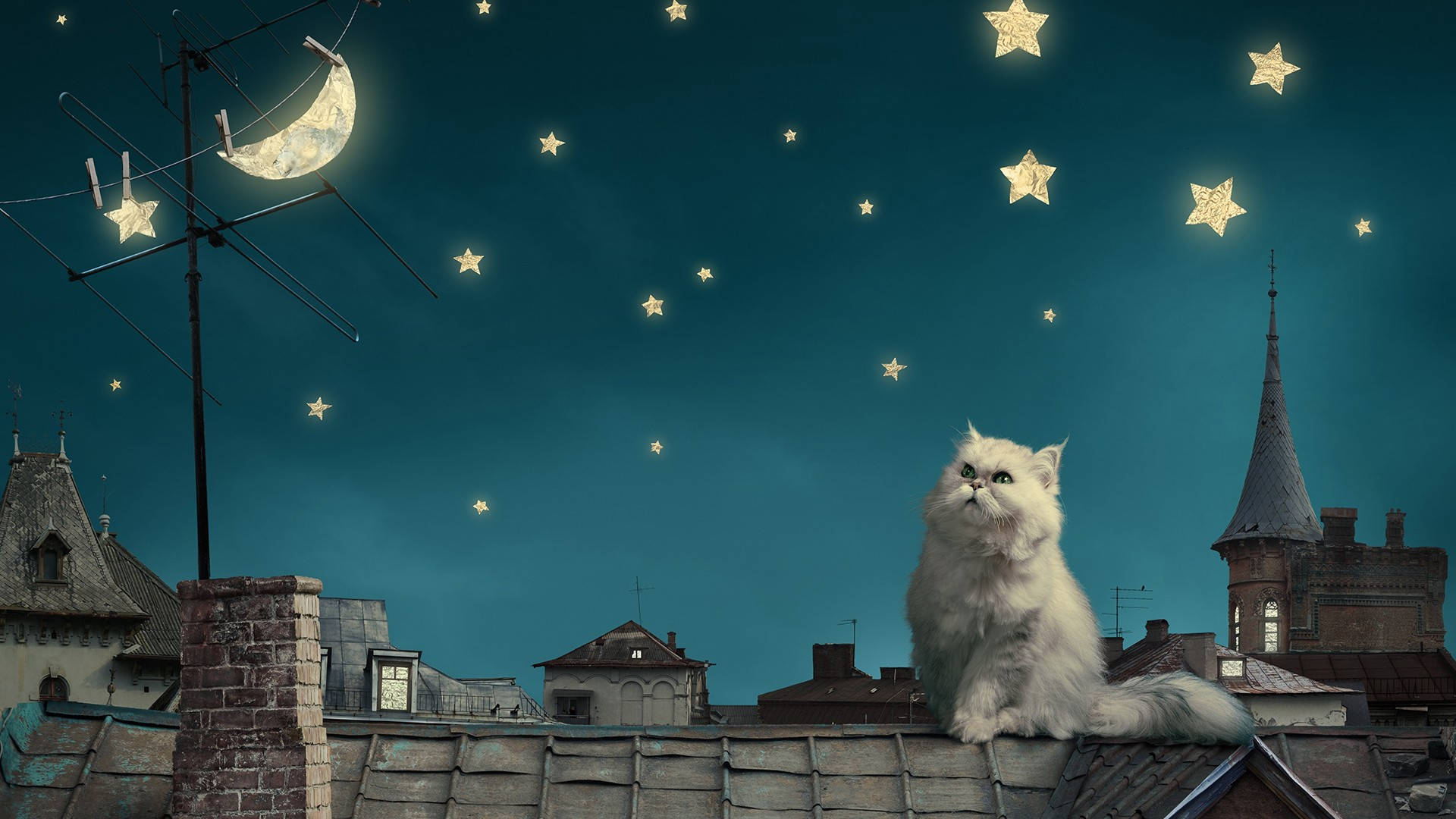 Moon And Stars Roof Cat Background