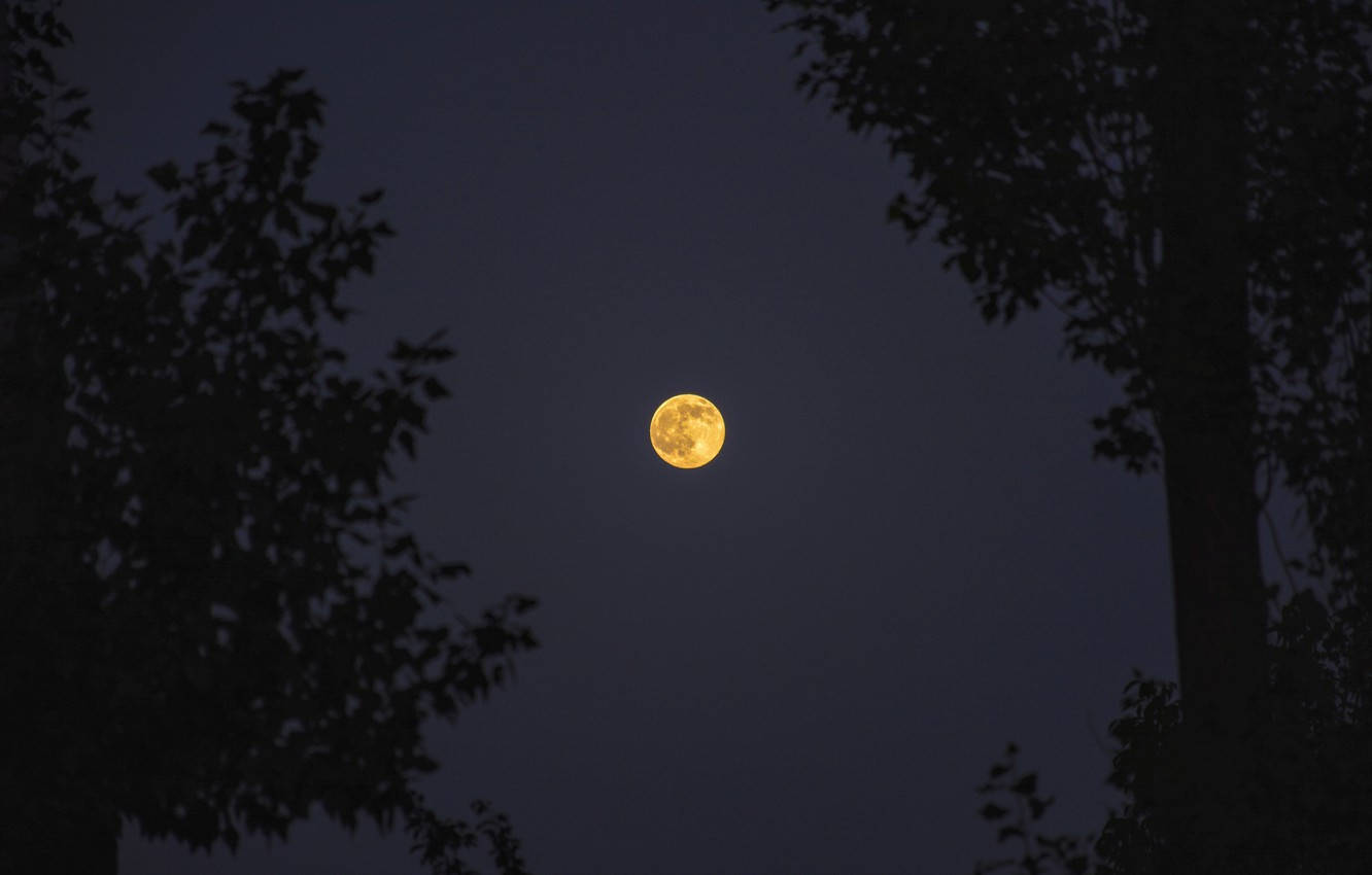 Moon In Yerevan Background