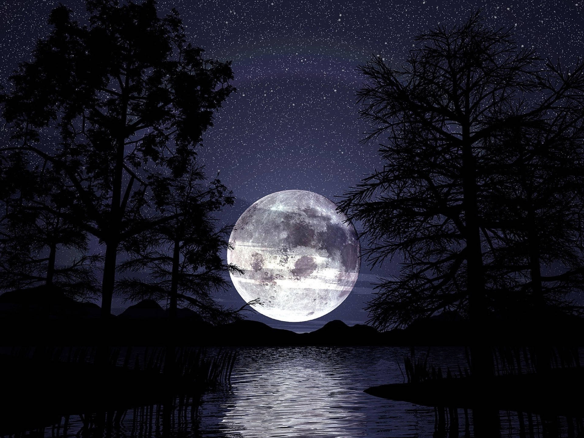 Moon Night Sky Dark Forest Background