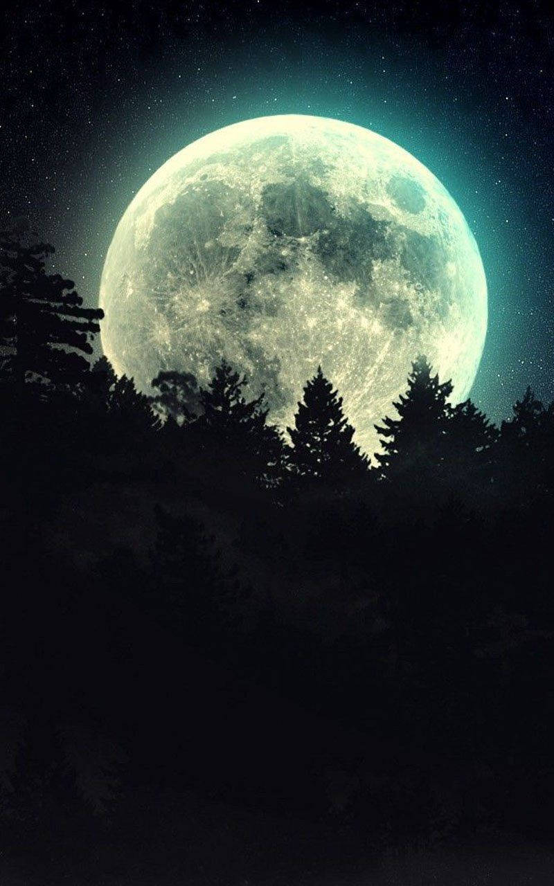 Moon Phone Pine Trees Background